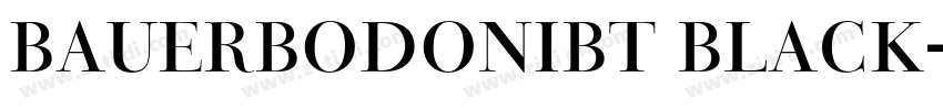 BauerBodoniBT Black字体转换